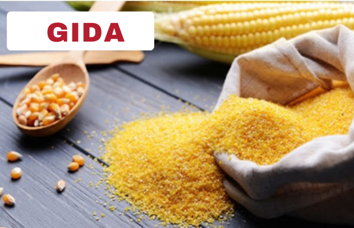 gıda