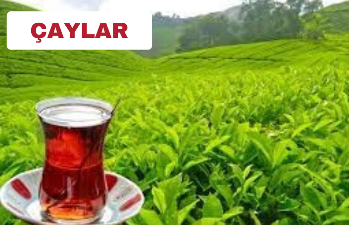 ÇAYLAR