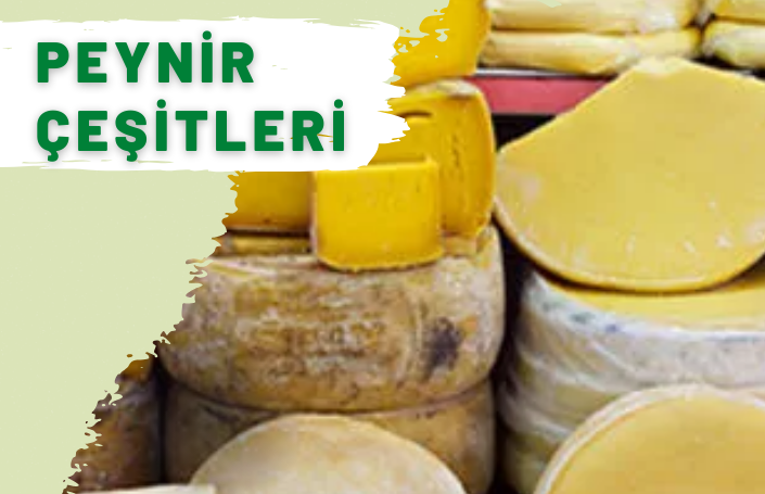 PEYNİR ÇEŞİTLERİ