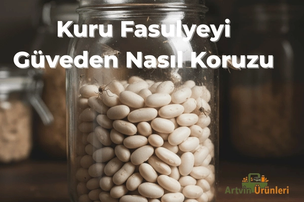 Kuru Fasulyede Güve Sorununa Son! Doğal Koruma ve Saklama Yöntemleri (İspir Şeker Fasulyesi)