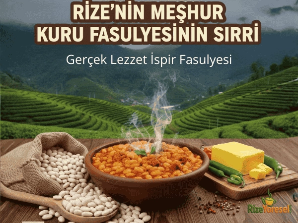 Rize’nin Meşhur Kuru Fasulyesinin Sırrı: Gerçek Lezzet İspir Şeker Fasulyesi