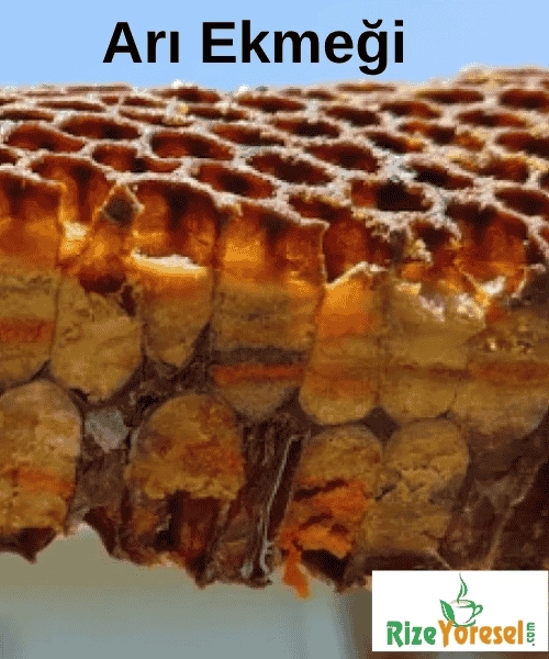 Arı Ekmeği (Perga)  100 g  | Kaçkar Dağlarından Gelen Doğal Probiyotik 