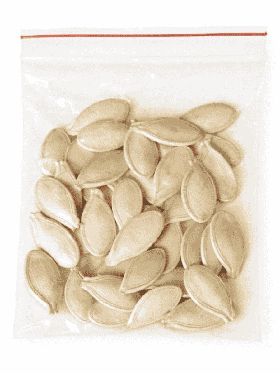 Tohumluk Kara Kabak Çekirdeği (40 Adet)