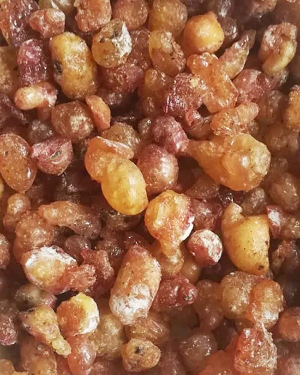 Çam Sakızı 40g
