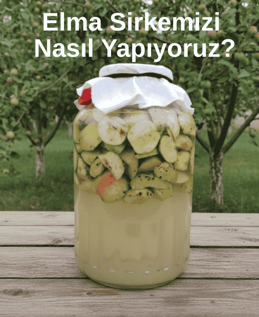 % 100 Doğal Elma Sirkesi 370 ml