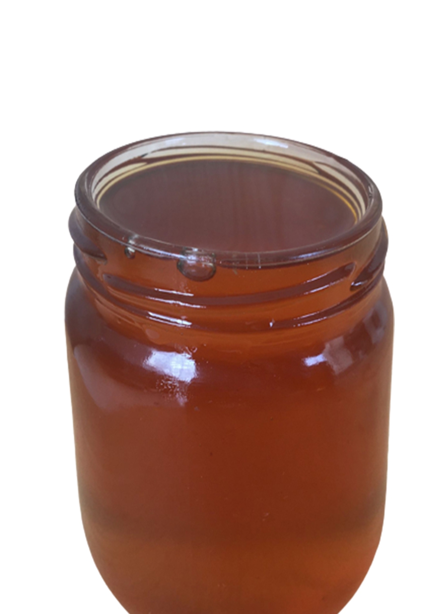 Doğal Artvin Balı - Zengin  Nektar İçeriği- İlaçlık Bal (Net 500 Gr)
