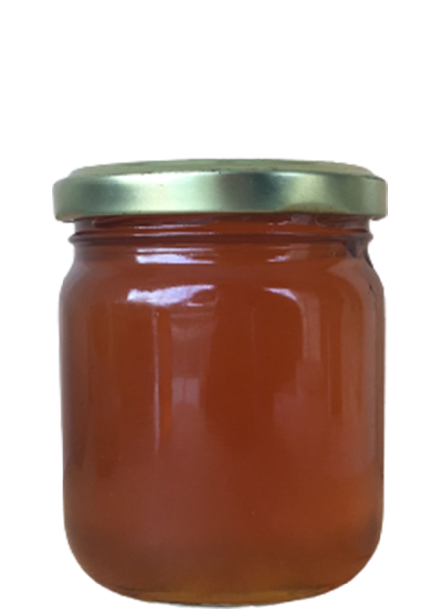 Doğal Artvin Balı - Zengin  Nektar İçeriği- İlaçlık Bal (Net 280 Gr)