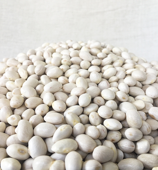 İspir Şeker Fasulye - Hakiki Yerli Tohum ( 1 Kg )