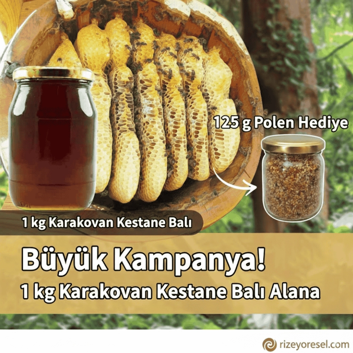 1 Kg Karakovan Süzme Kestane Balı Alana 125 g Kaçkar Çiçek Poleni Hediye