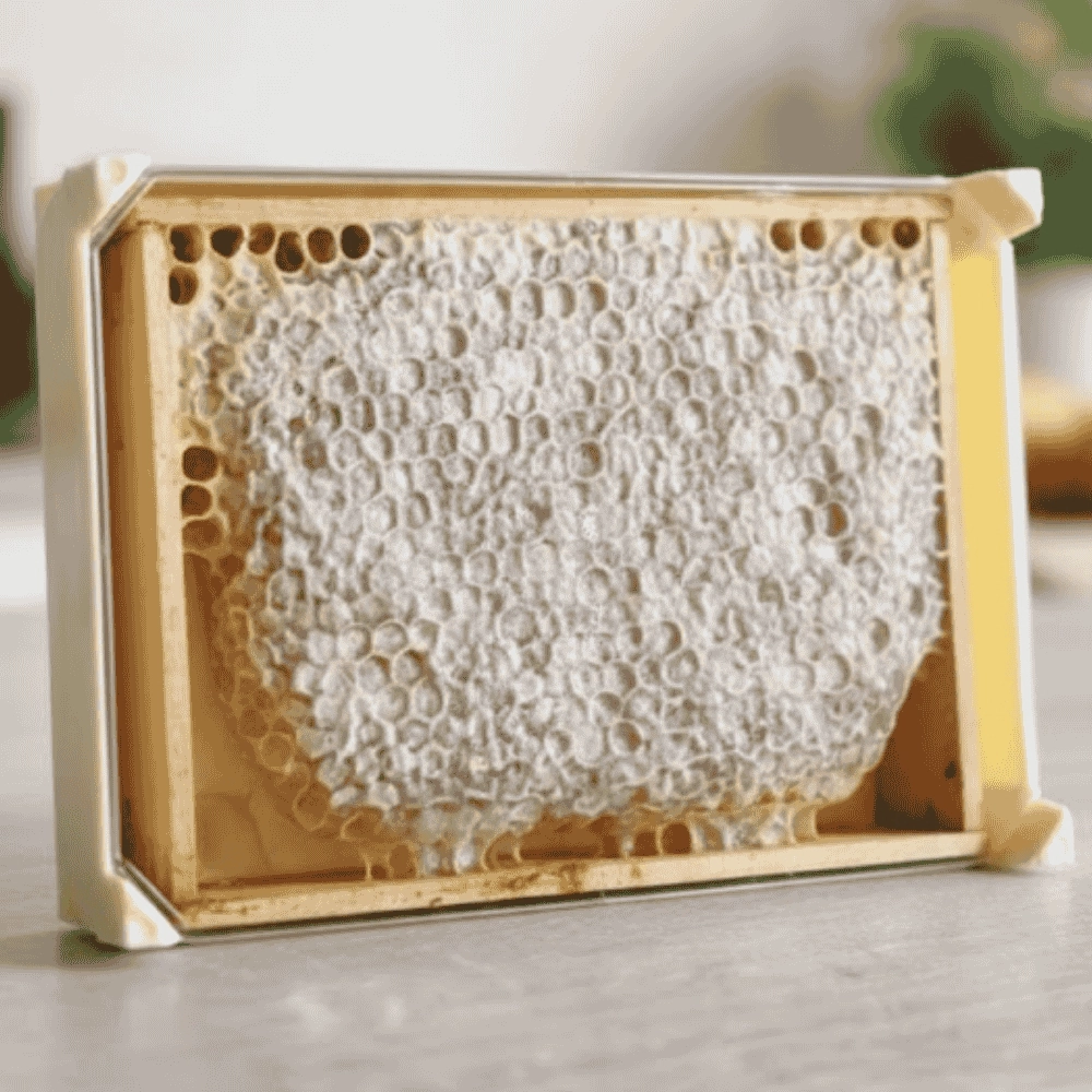 Kaçkar Dağları Kaset Petek Bal (Min. 400 g) | %100 Doğal Petekli Bal