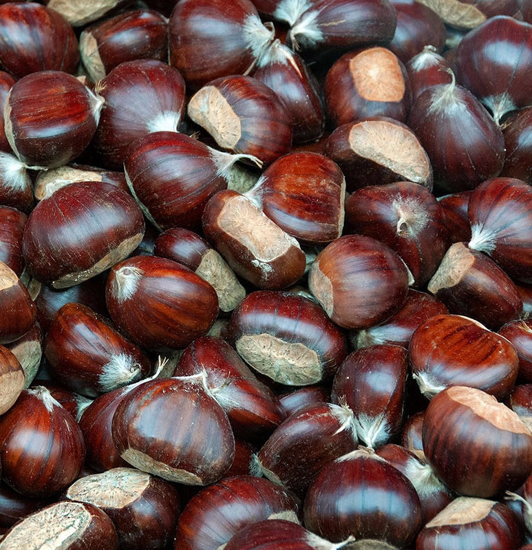 Artvin Borçka Kestanesi İri Taneli 500g