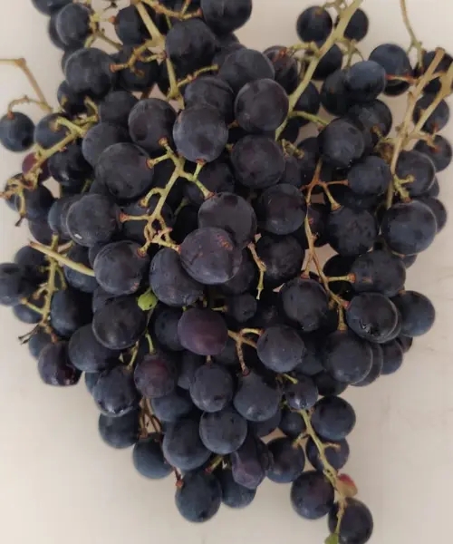 Kokulu Kara Üzüm Pekmezi - % 100 Saf (Net 900 g)