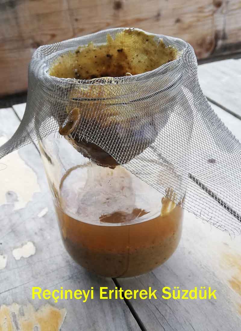 Ladin Reçinesi Kremi 40 ml