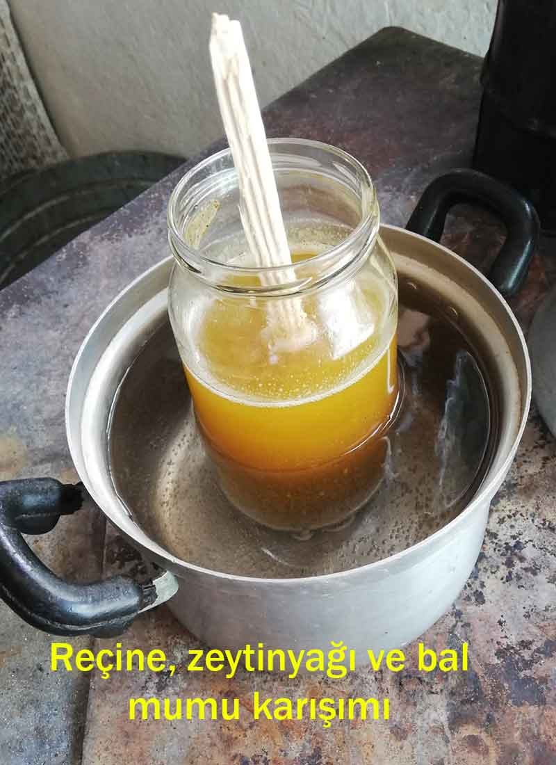 Ladin Reçinesi Kremi 40 ml