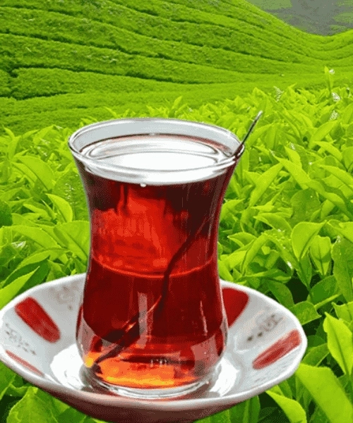 İlk Hasat Elek Altı Dökme Mayıs Çayı  500 g