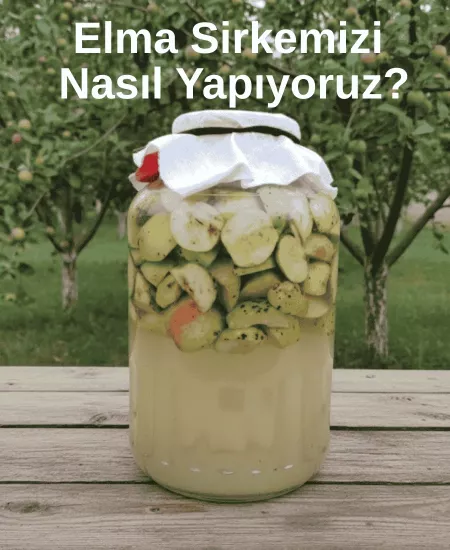 % 100 Doğal  Elma Sirkesi   370 ml