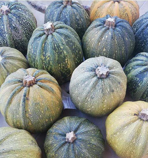 Kara Kabak, Organik Bal Kabağı