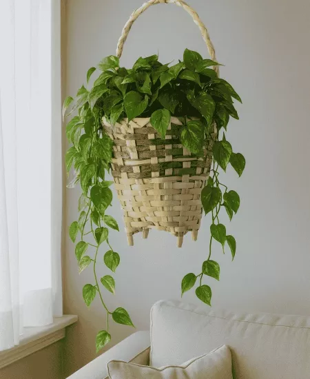 El Örmesi Karadeniz Sepeti