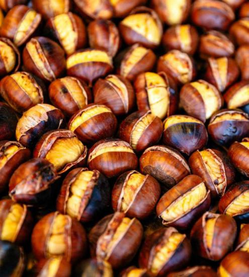 Kestane Artvin Borçka