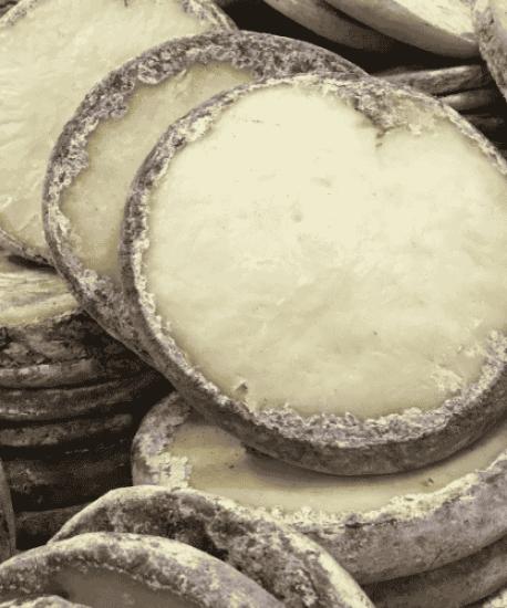 Küflü İnek Peyniri