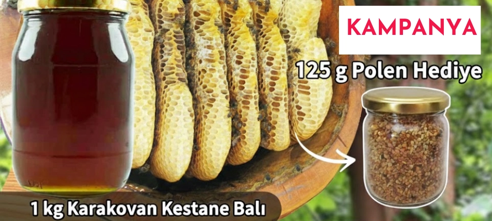 Karakovan kestane balı kampanya 1 kg alana polen hediye 