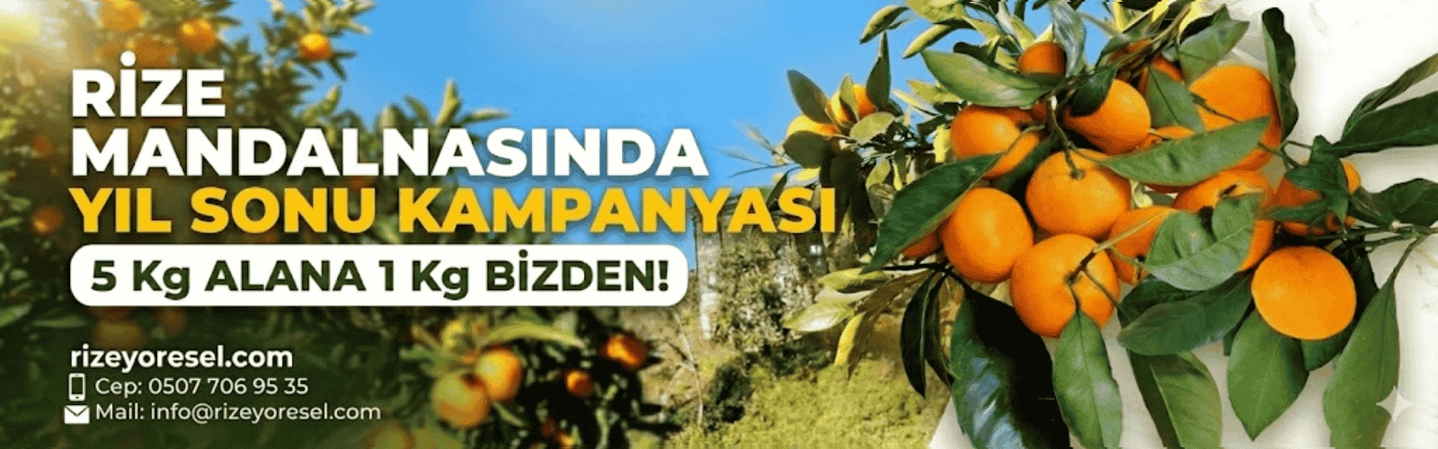 Rize mandalinası satsuma kampanya indirim