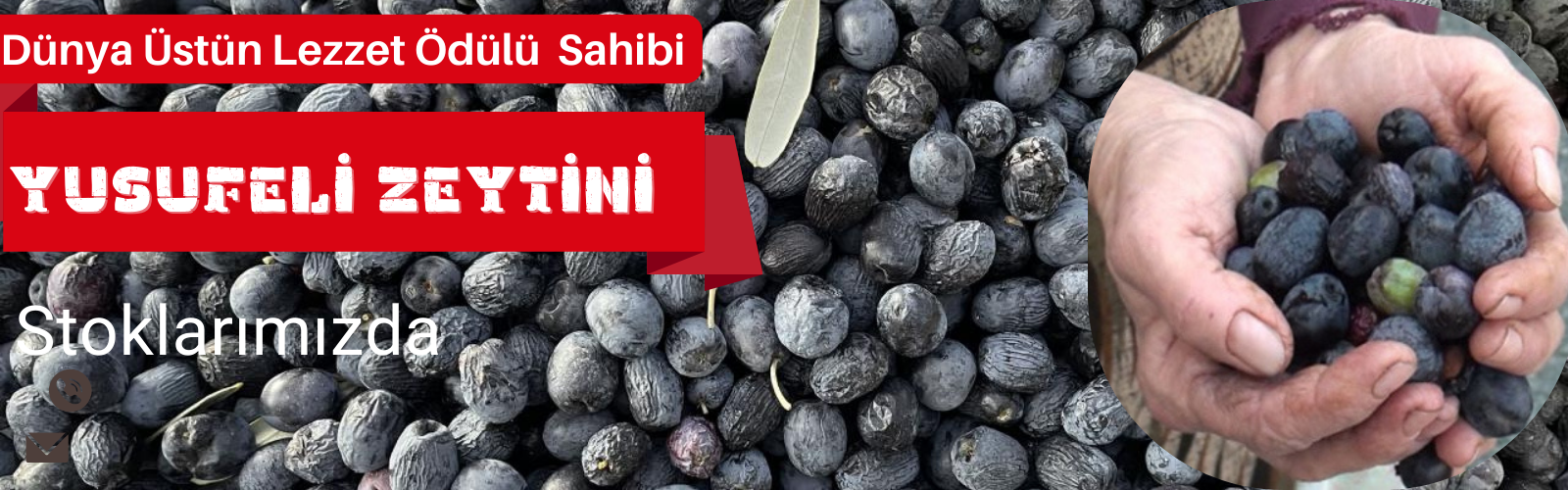 yusufeli zeytini